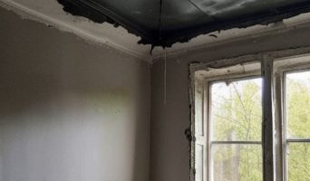 Черная плесень: скрытая угроза вашему дому и здоровью