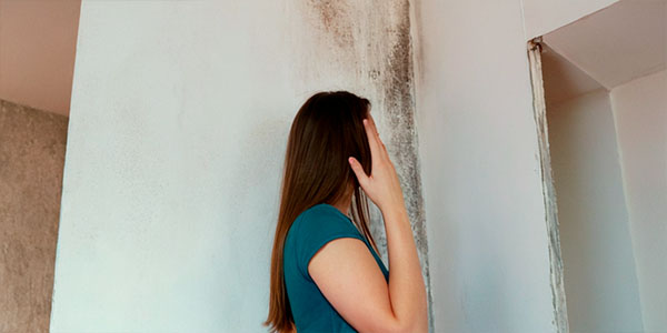 плесень на стене