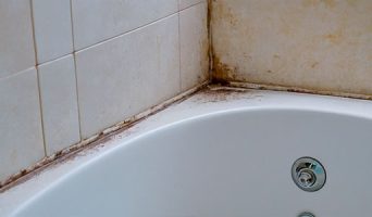Как избавиться от плесени в ванной?