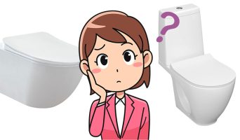 Что лучше унитаз или инсталляция?