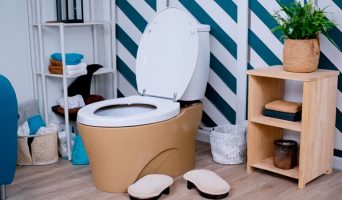 Биотуалет для дачи: все, что вам нужно знать