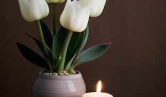 Как рейки поможет визуально увеличить ваше пространство: энергетические техники и практические советы