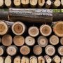 Как правильно измерить объем дров: от куба до точных расчетов